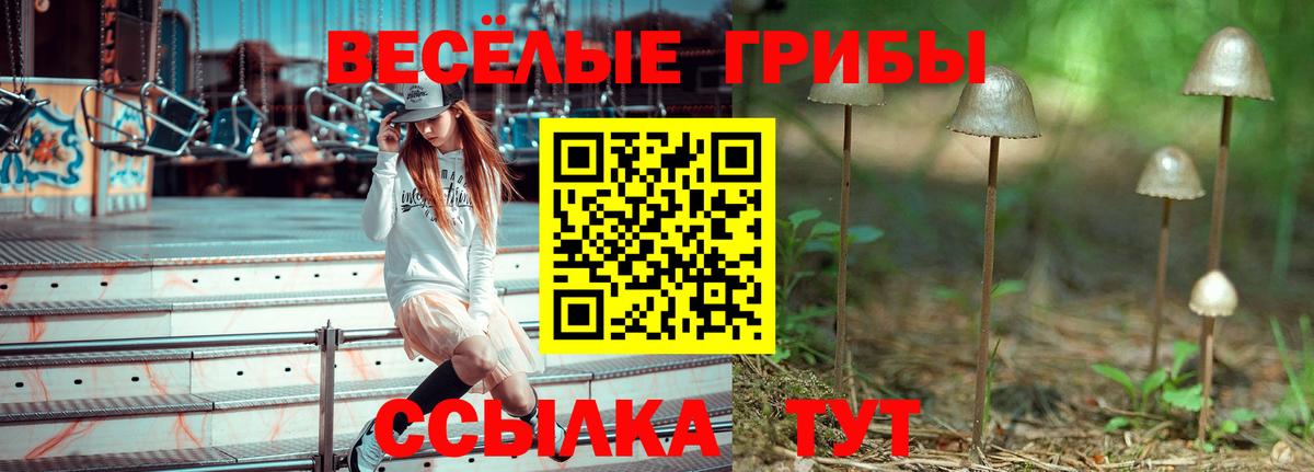 Псилоцибиновые грибы MAGIC MUSHROOMS Абакан